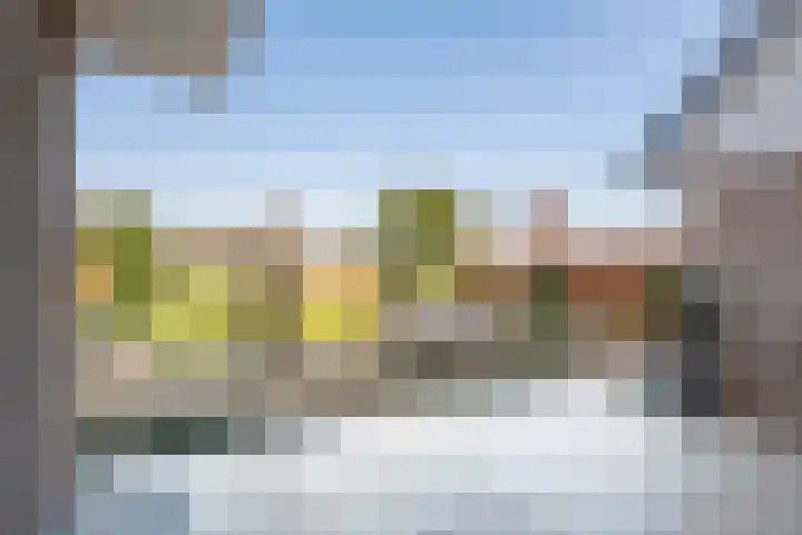 Aeneas Mackaylaan 1 Ophemert thumbnail 16