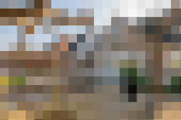 Aeneas Mackaylaan 1 Ophemert thumbnail 20