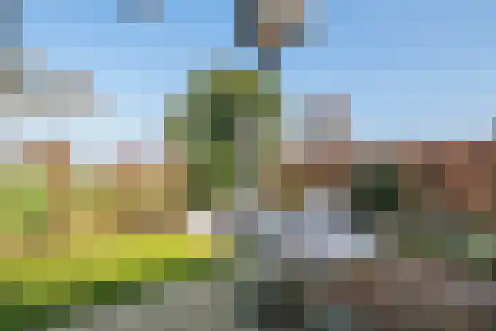 Aeneas Mackaylaan 1 Ophemert thumbnail 21