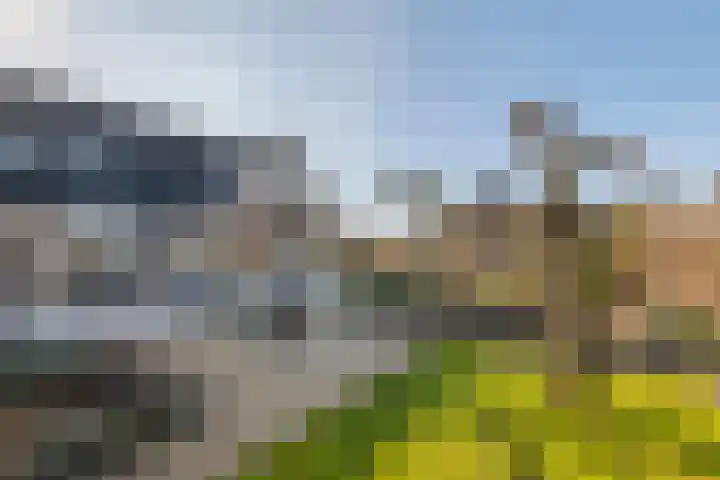 Aeneas Mackaylaan 1 Ophemert thumbnail 22
