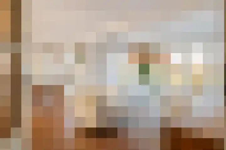 Aeneas Mackaylaan 1 Ophemert thumbnail 28