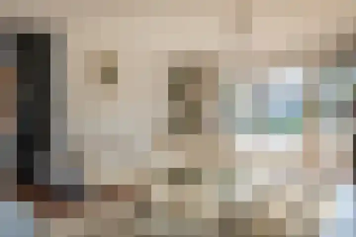 Aeneas Mackaylaan 1 Ophemert thumbnail 31