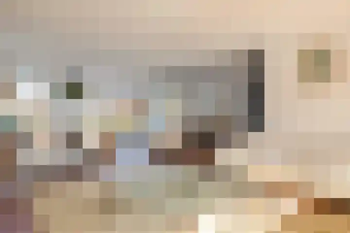 Aeneas Mackaylaan 1 Ophemert thumbnail 33