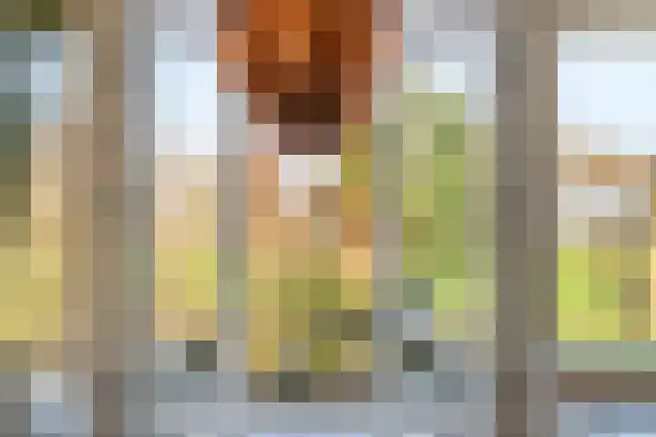 Aeneas Mackaylaan 1 Ophemert thumbnail 36