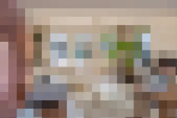 Aeneas Mackaylaan 1 Ophemert thumbnail 37