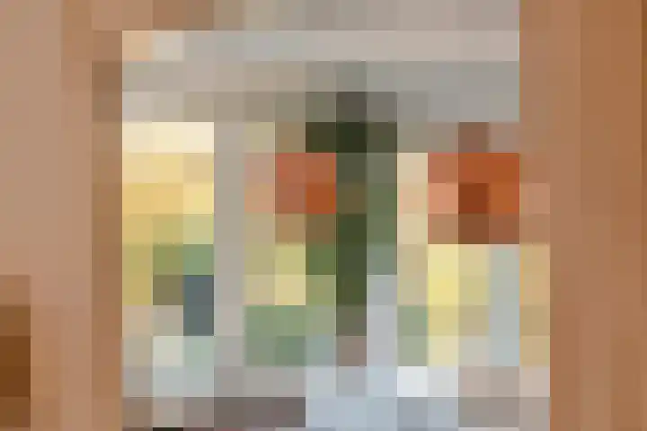 Aeneas Mackaylaan 1 Ophemert thumbnail 38