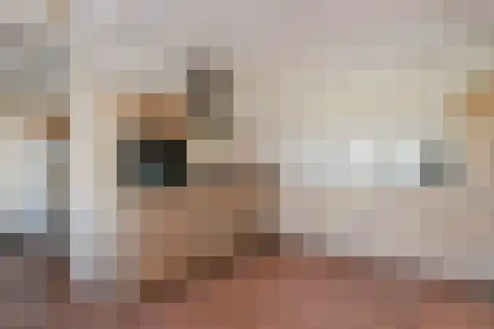 Aeneas Mackaylaan 1 Ophemert thumbnail 39
