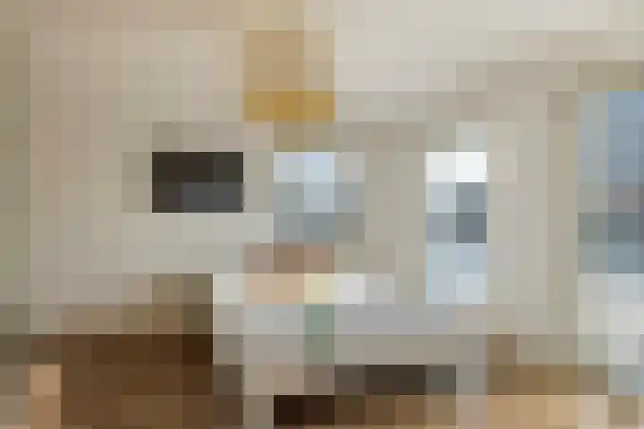 Aeneas Mackaylaan 1 Ophemert thumbnail 43