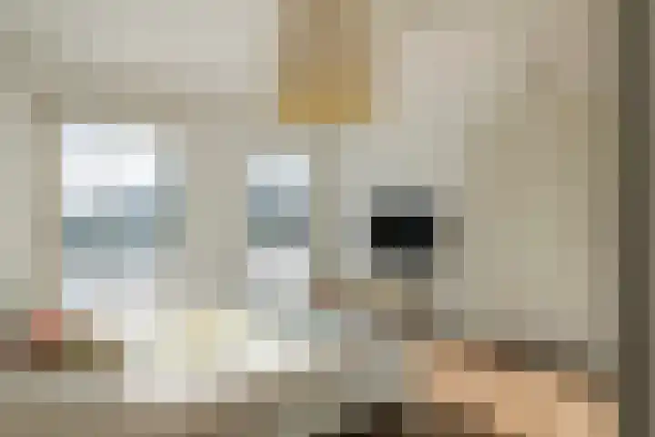 Aeneas Mackaylaan 1 Ophemert thumbnail 44