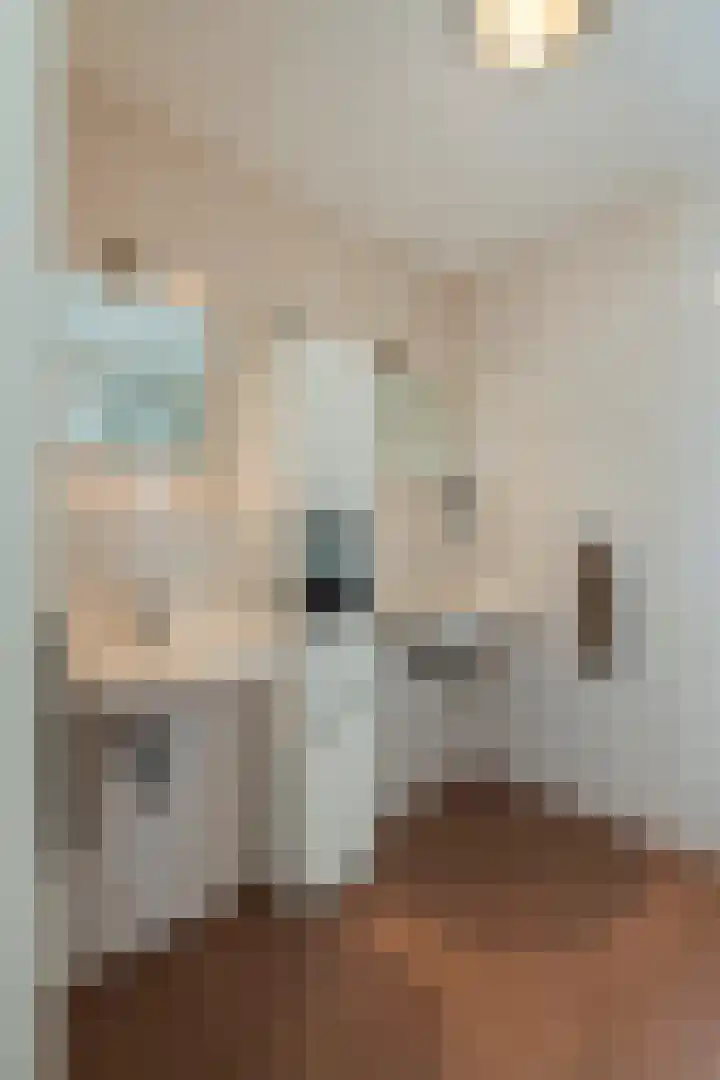 Aeneas Mackaylaan 1 Ophemert thumbnail 45