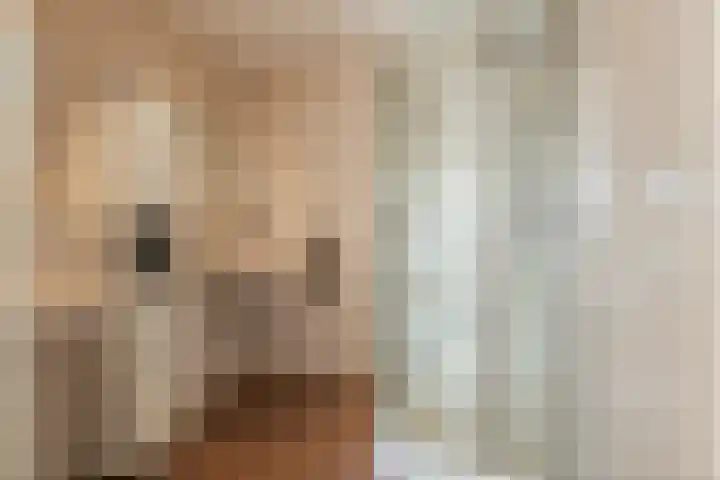 Aeneas Mackaylaan 1 Ophemert thumbnail 47