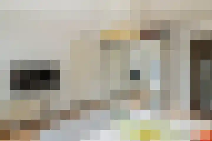 Aeneas Mackaylaan 1 Ophemert thumbnail 48