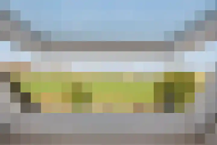 Aeneas Mackaylaan 1 Ophemert thumbnail 59