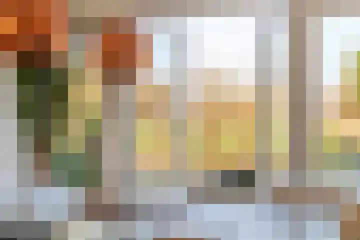 Aeneas Mackaylaan 1 Ophemert thumbnail 6