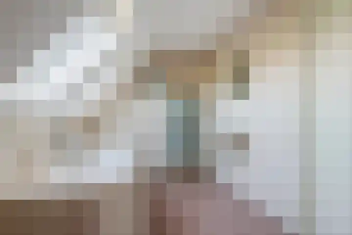 Aeneas Mackaylaan 1 Ophemert thumbnail 60