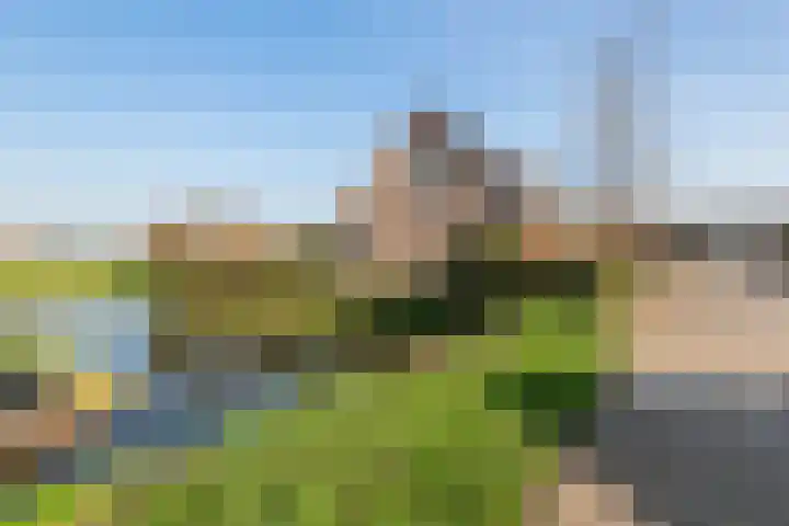 Aeneas Mackaylaan 1 Ophemert thumbnail 66