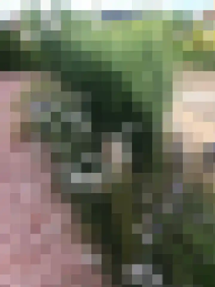 Aeneas Mackaylaan 1 Ophemert thumbnail 81