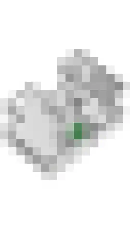 Aeneas Mackaylaan 1 Ophemert thumbnail 83