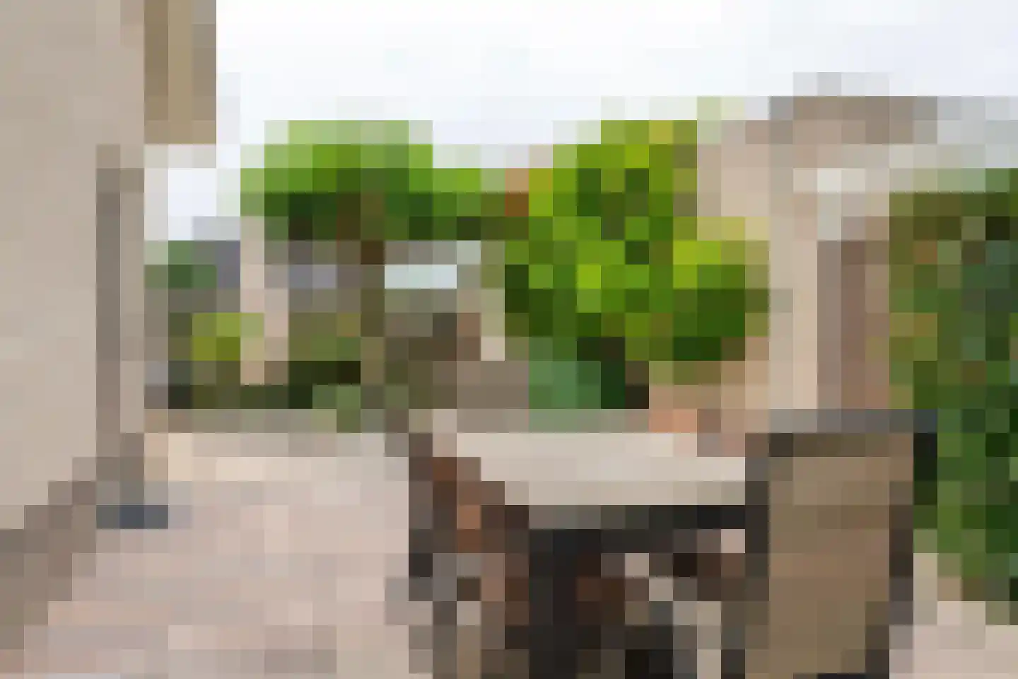 Aeneas Mackaylaan 2 Ophemert thumbnail 10