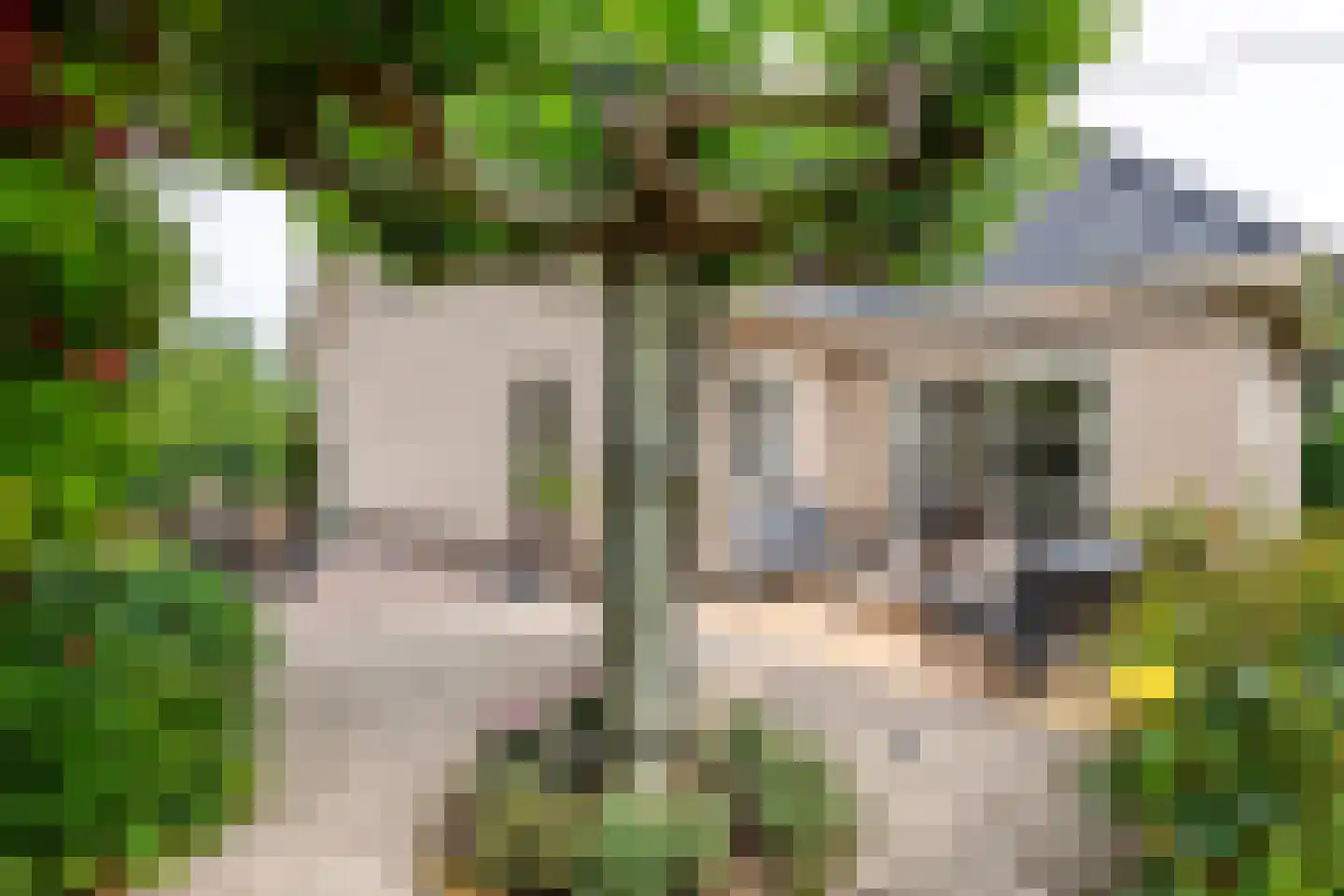 Aeneas Mackaylaan 2 Ophemert thumbnail 11