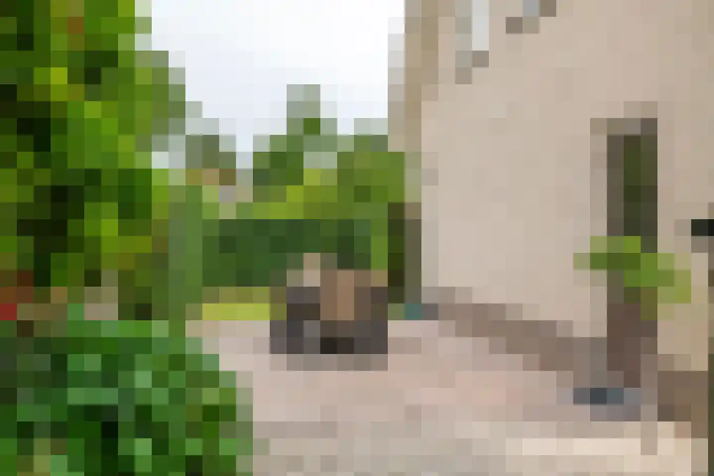 Aeneas Mackaylaan 2 Ophemert thumbnail 12