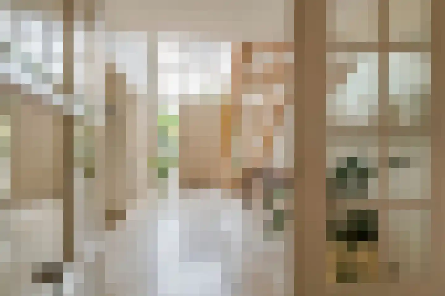 Aeneas Mackaylaan 2 Ophemert thumbnail 19