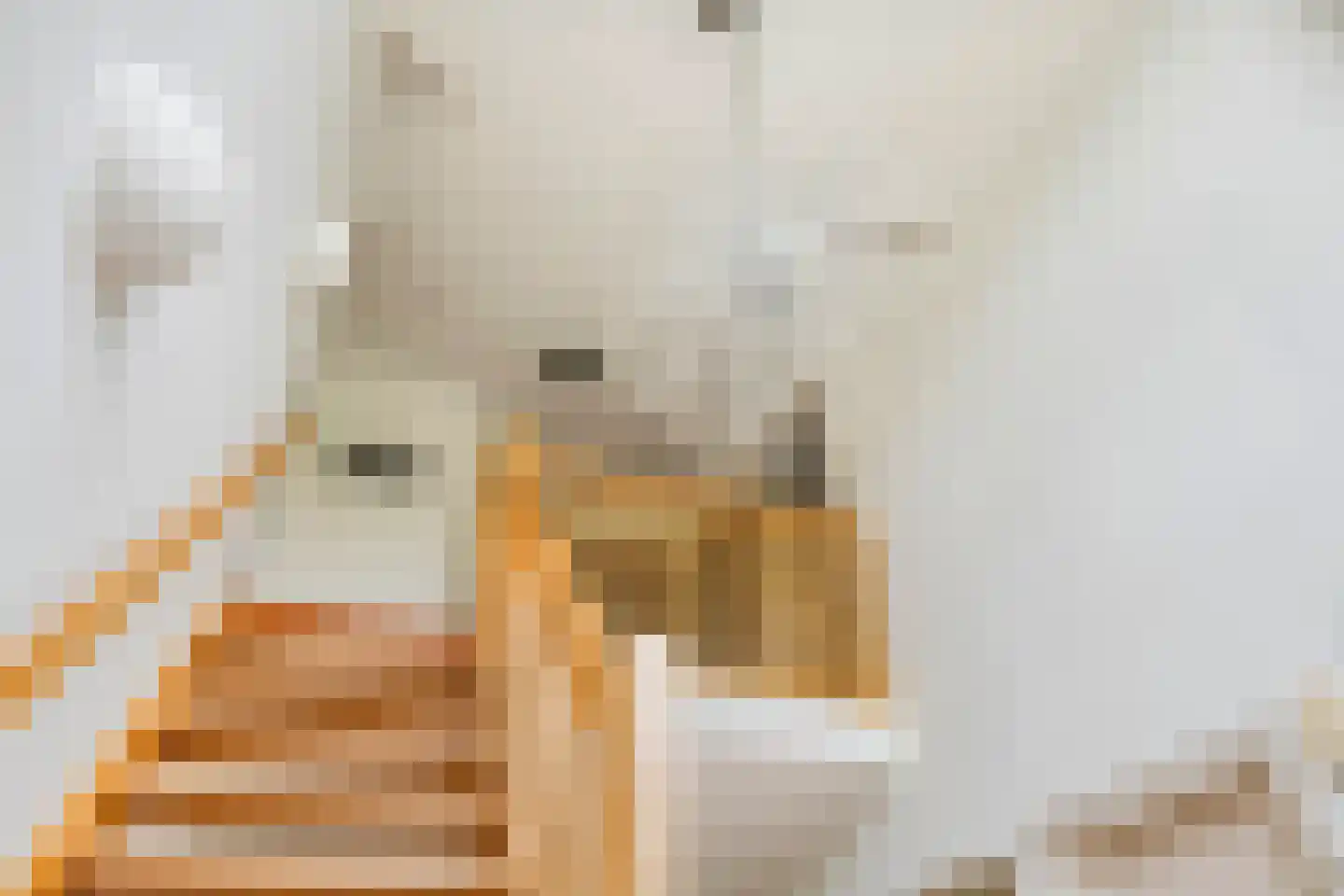 Aeneas Mackaylaan 2 Ophemert thumbnail 23