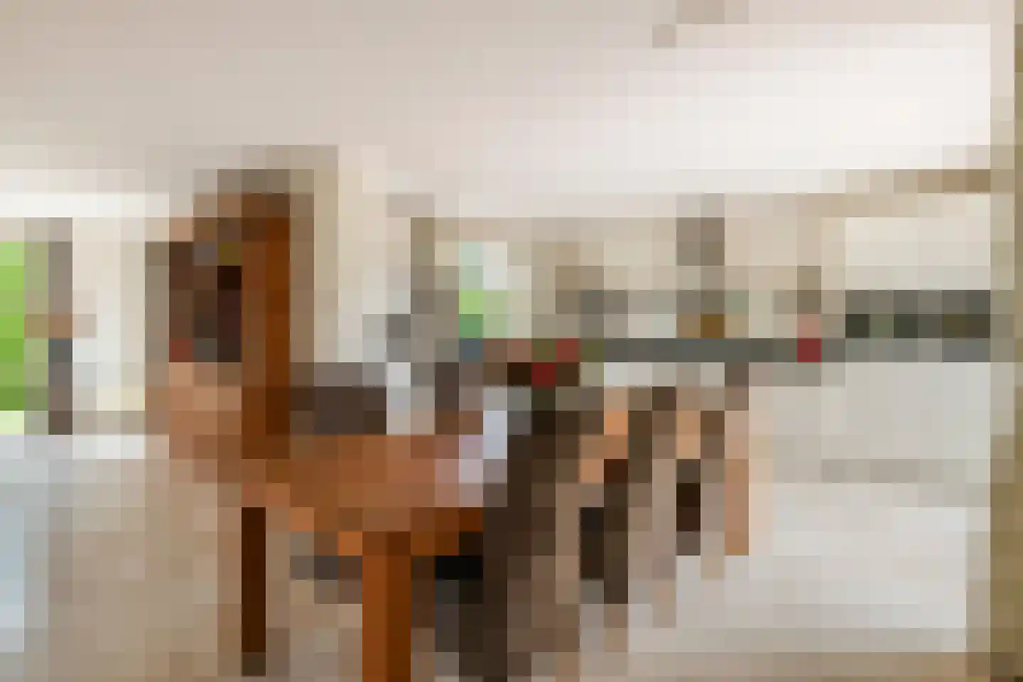 Aeneas Mackaylaan 2 Ophemert thumbnail 25