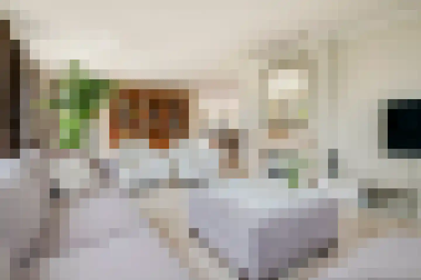 Aeneas Mackaylaan 2 Ophemert thumbnail 4