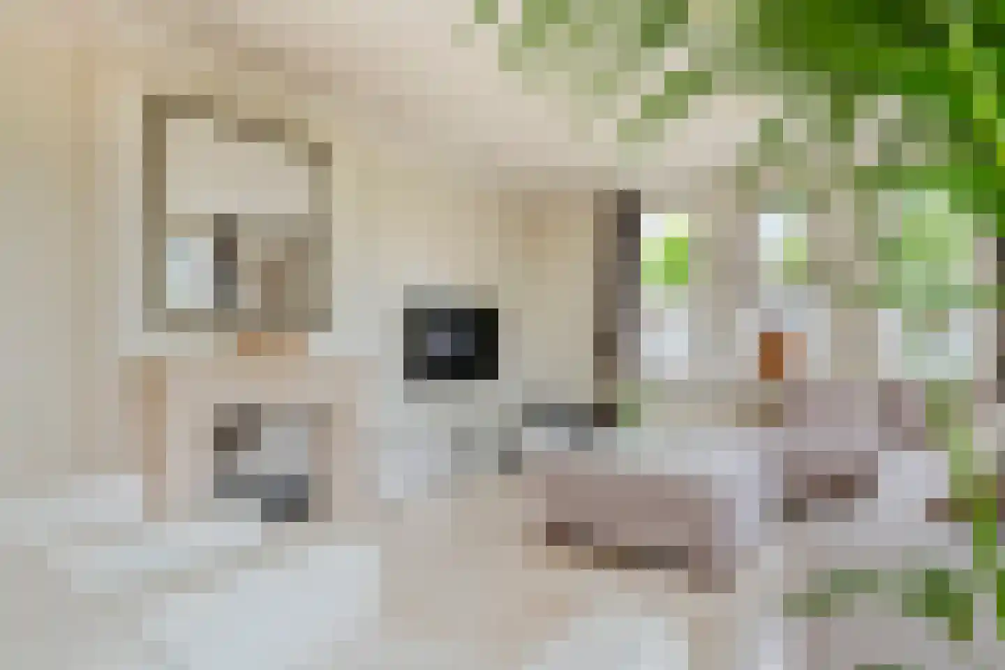 Aeneas Mackaylaan 2 Ophemert thumbnail 42