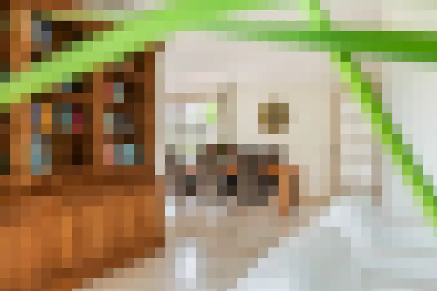 Aeneas Mackaylaan 2 Ophemert thumbnail 44