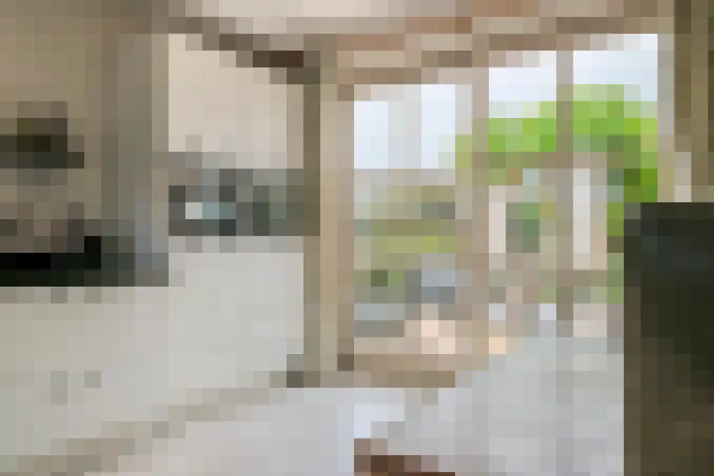 Aeneas Mackaylaan 2 Ophemert thumbnail 5