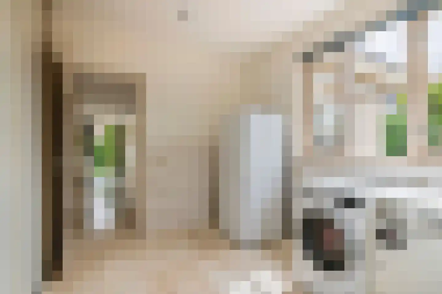 Aeneas Mackaylaan 2 Ophemert thumbnail 50