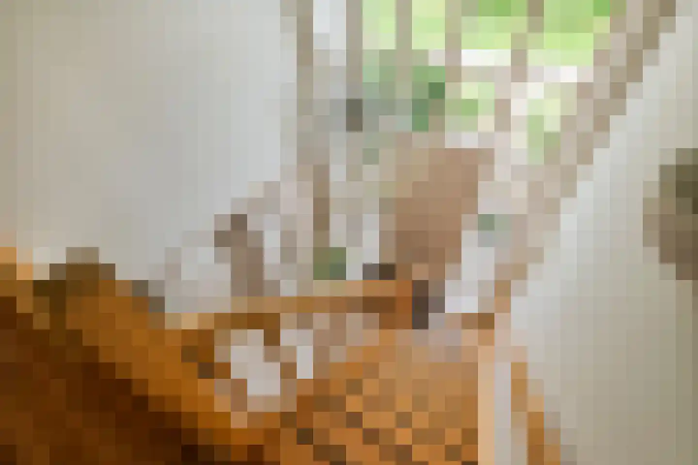 Aeneas Mackaylaan 2 Ophemert thumbnail 60