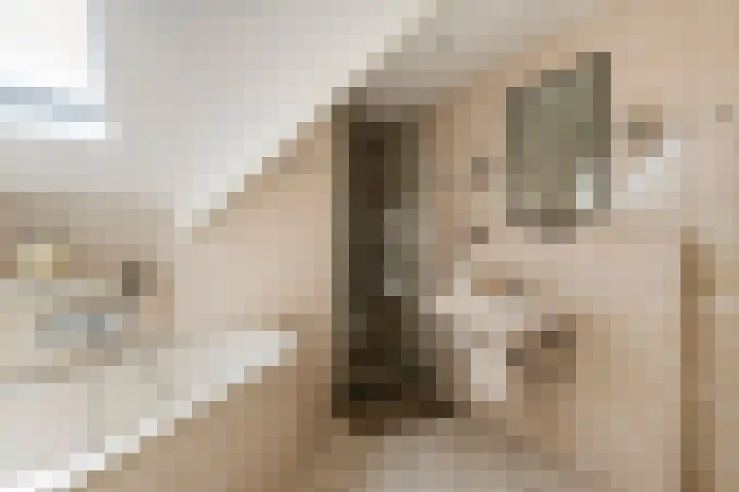 Aeneas Mackaylaan 2 Ophemert thumbnail 66