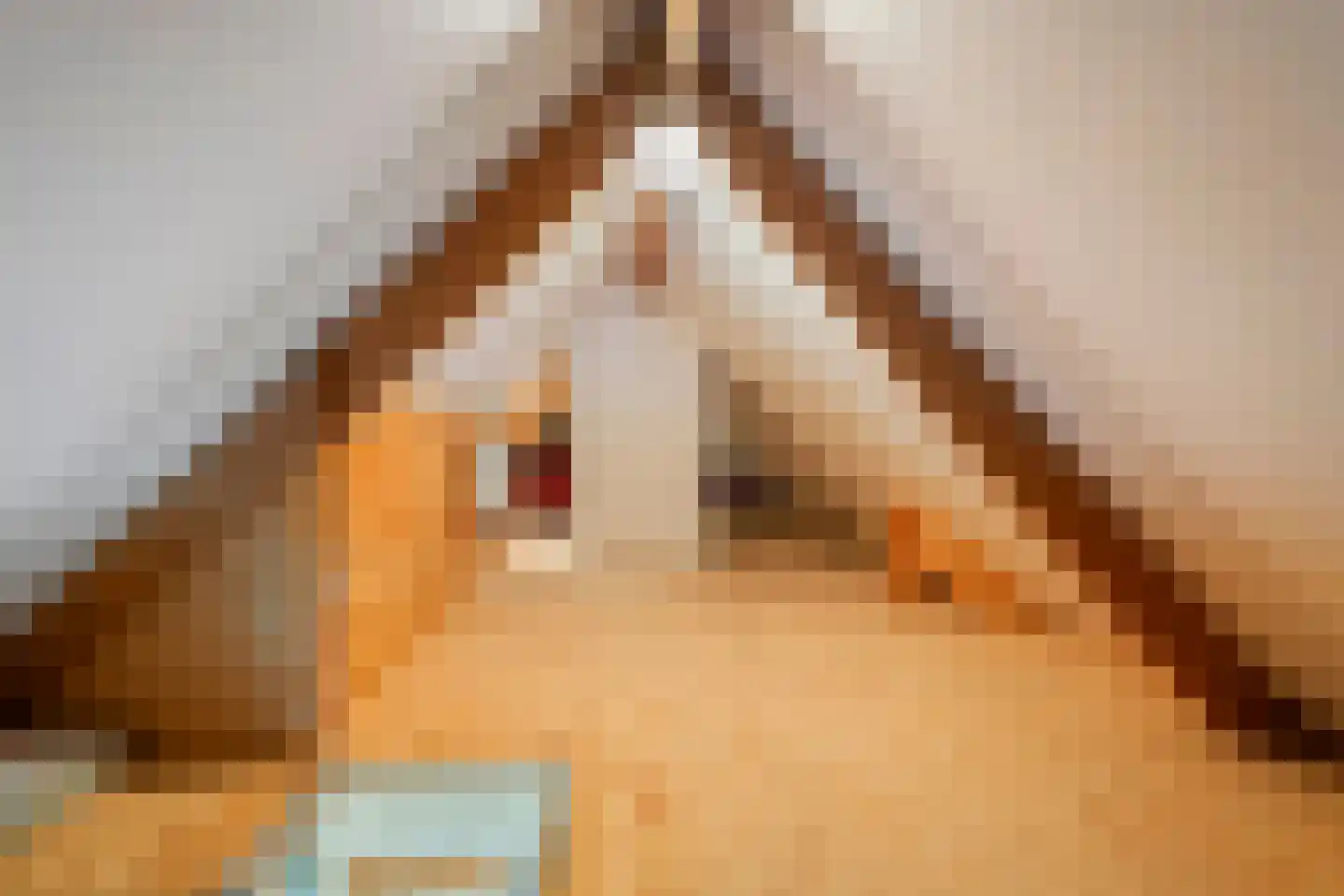 Aeneas Mackaylaan 2 Ophemert thumbnail 69