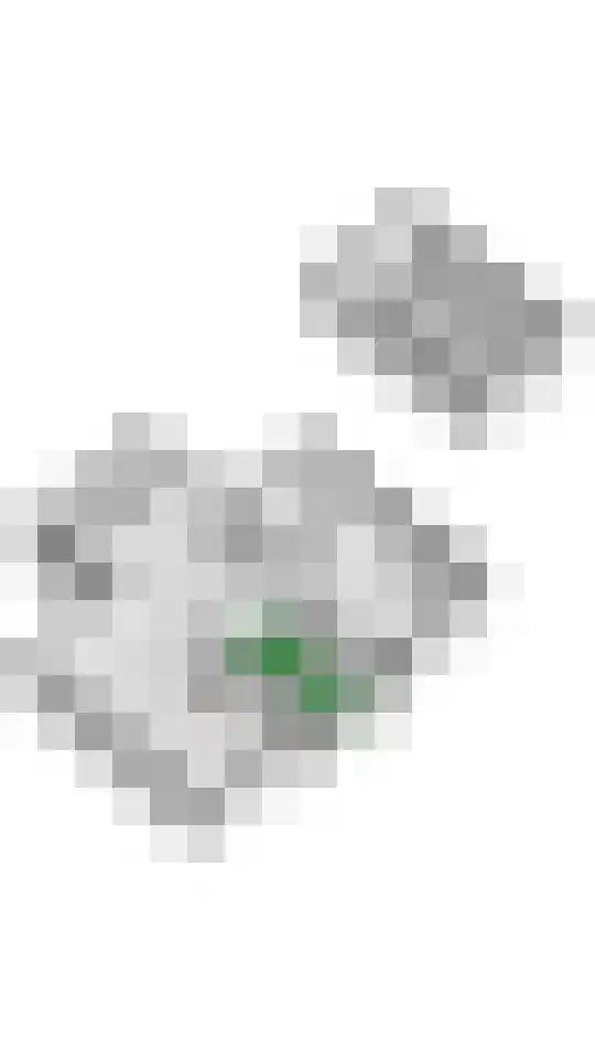 Aeneas Mackaylaan 2 Ophemert thumbnail 79