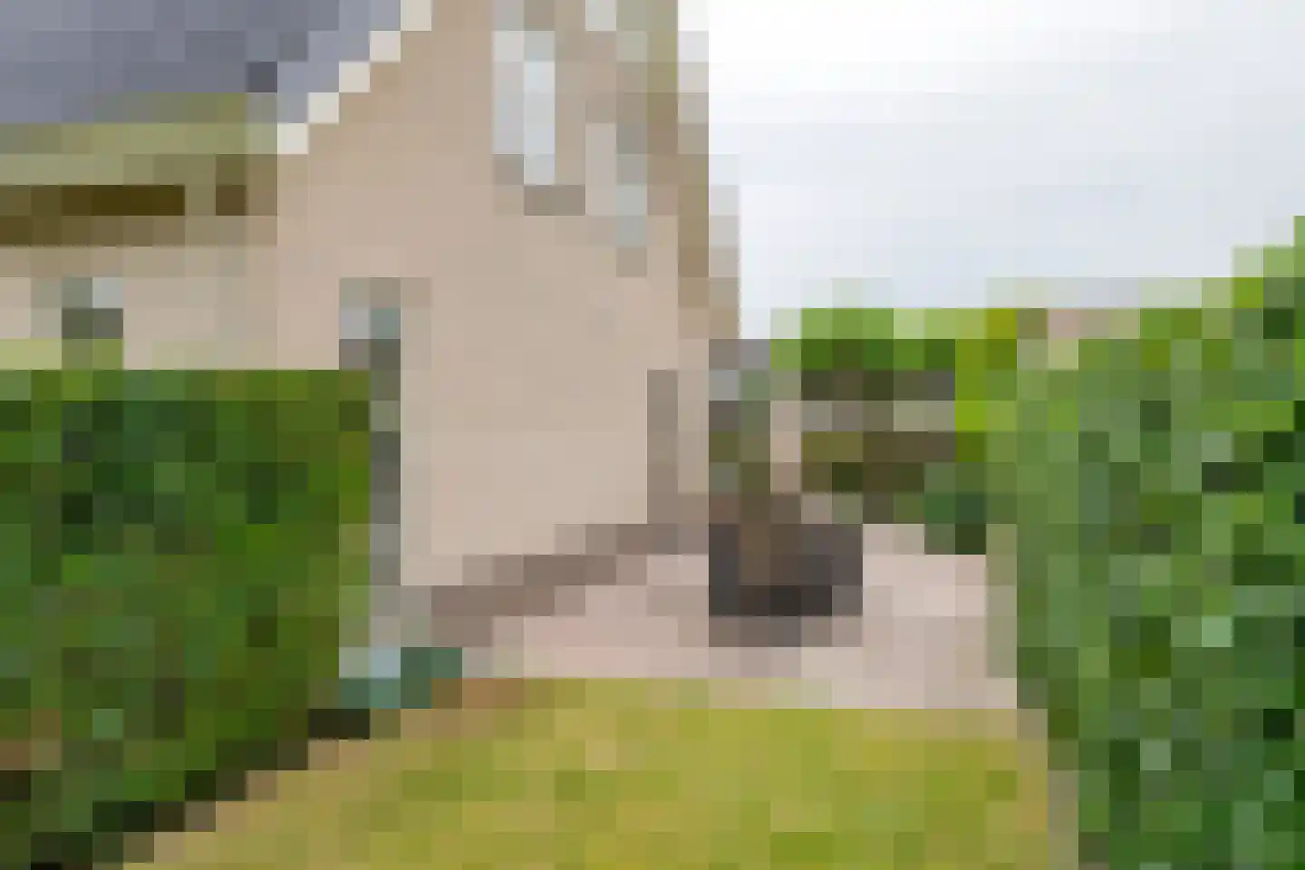 Aeneas Mackaylaan 2 Ophemert thumbnail 9