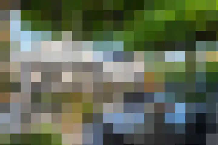 Aeneas Mackaylaan 4 in Ophemert