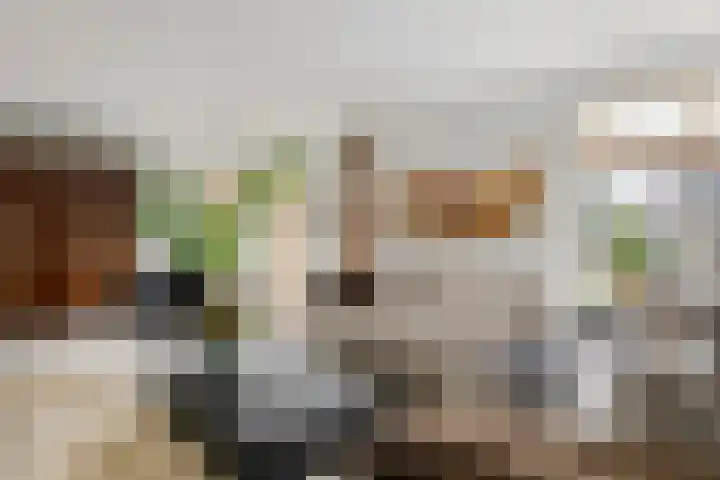 Aeneas Mackaylaan 4 Ophemert thumbnail 10