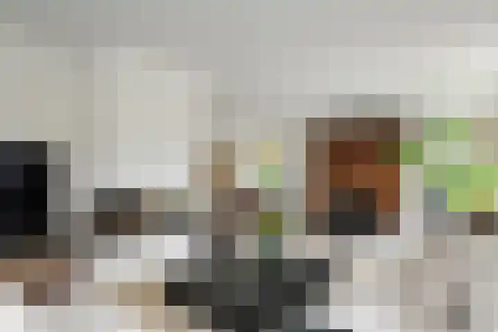 Aeneas Mackaylaan 4 Ophemert thumbnail 11