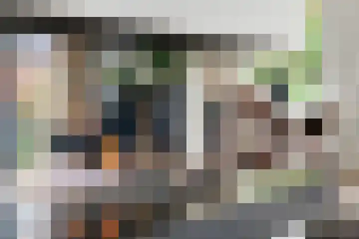 Aeneas Mackaylaan 4 Ophemert thumbnail 12