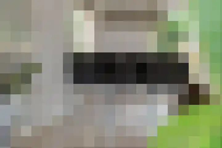 Aeneas Mackaylaan 4 Ophemert thumbnail 14