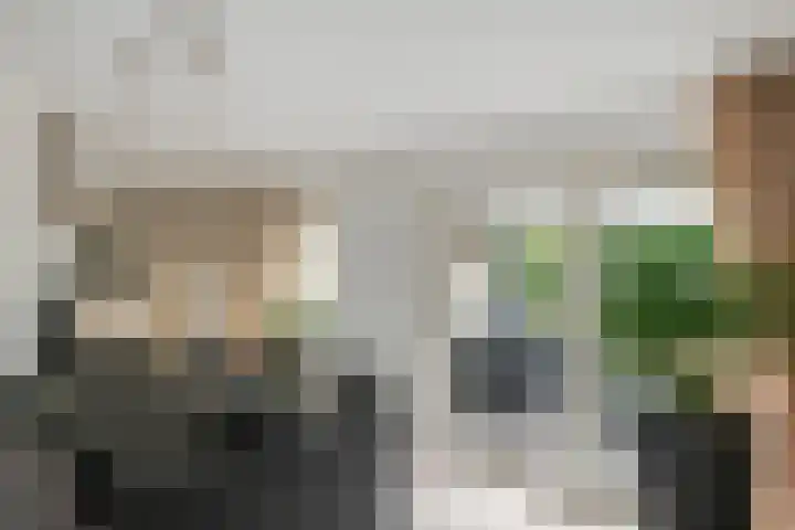 Aeneas Mackaylaan 4 Ophemert thumbnail 15
