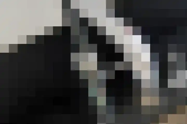 Aeneas Mackaylaan 4 Ophemert thumbnail 19