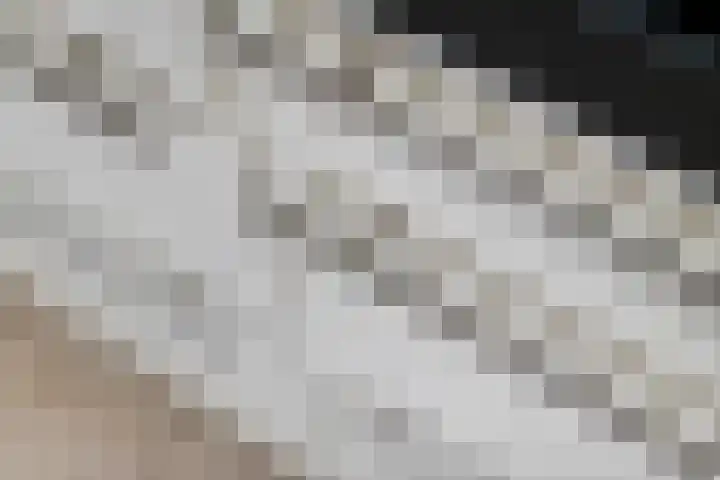 Aeneas Mackaylaan 4 Ophemert thumbnail 20