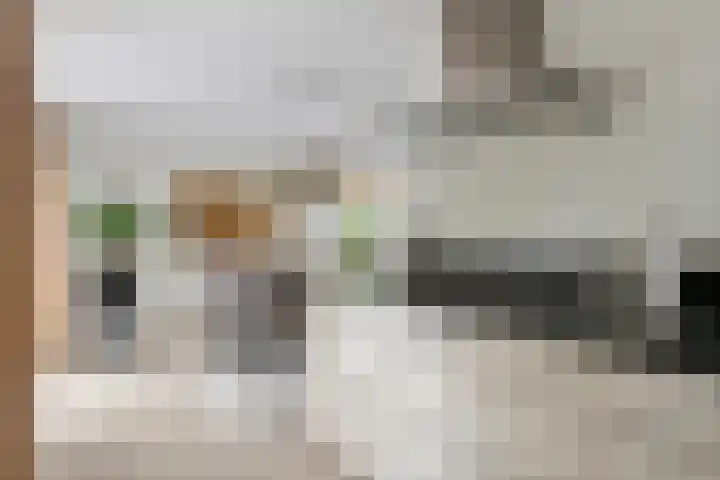 Aeneas Mackaylaan 4 Ophemert thumbnail 21
