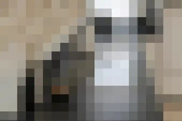 Aeneas Mackaylaan 4 Ophemert thumbnail 22