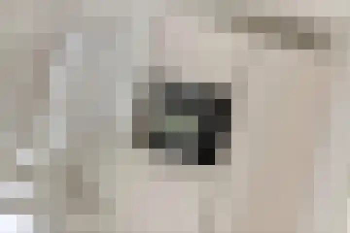 Aeneas Mackaylaan 4 Ophemert thumbnail 23
