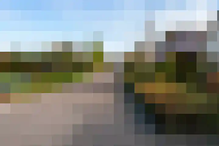Aeneas Mackaylaan 4 Ophemert thumbnail 29